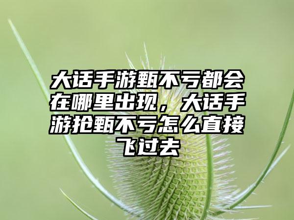大话手游甄不亏都会在哪里出现，大话手游抢甄不亏怎么直接飞过去
