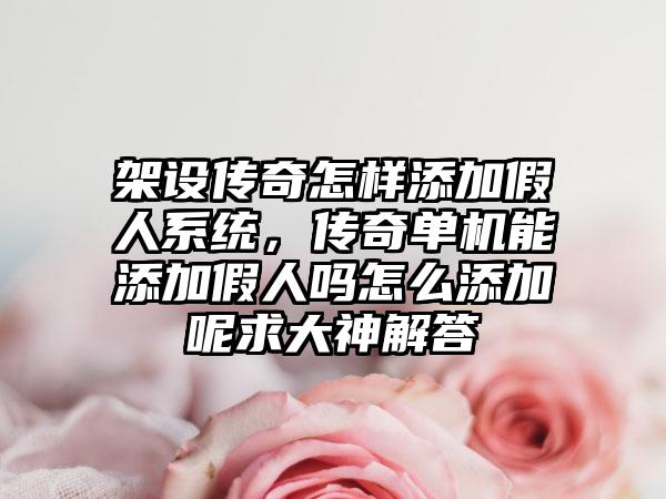 架设传奇怎样添加假人系统，传奇单机能添加假人吗怎么添加呢求大神解答