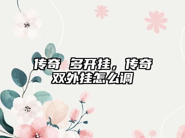 传奇 多开挂，传奇双外挂怎么调