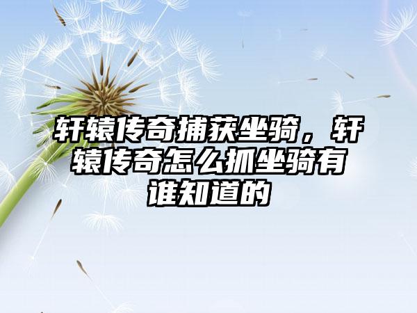 轩辕传奇捕获坐骑，轩辕传奇怎么抓坐骑有谁知道的