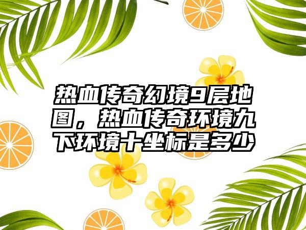 热血传奇幻境9层地图，热血传奇环境九下环境十坐标是多少