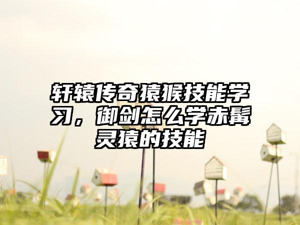轩辕传奇猿猴技能学习，御剑怎么学赤髯灵猿的技能