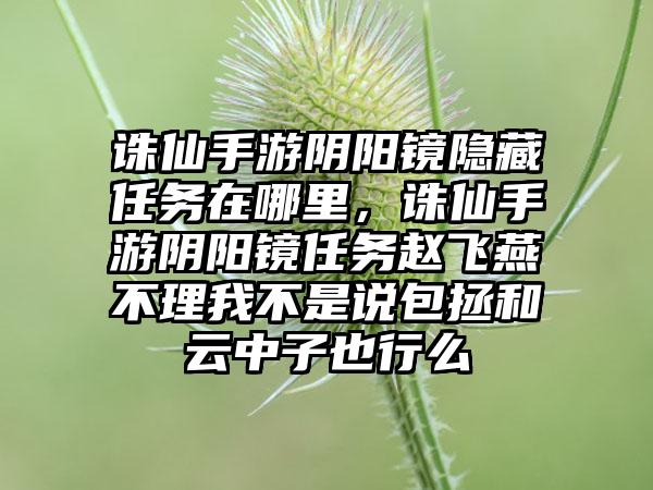 诛仙手游阴阳镜隐藏任务在哪里，诛仙手游阴阳镜任务赵飞燕不理我不是说包拯和云中子也行么
