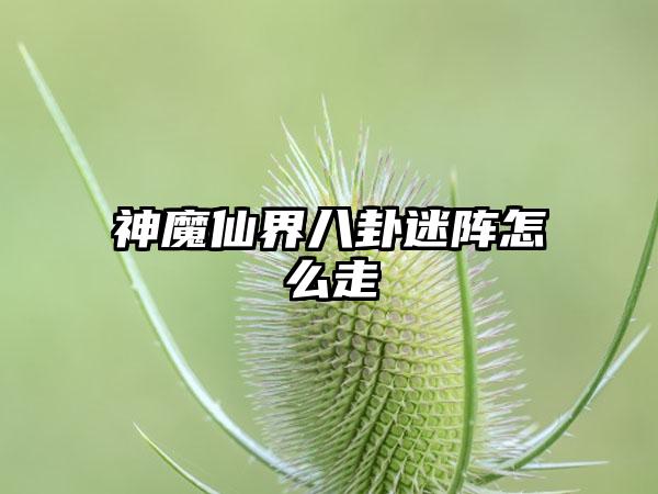 神魔仙界八卦迷阵怎么走