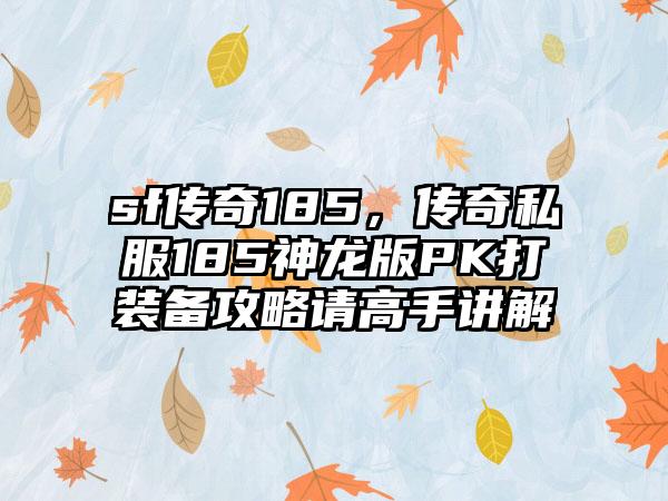 sf传奇185，传奇私服185神龙版PK打装备攻略请高手讲解