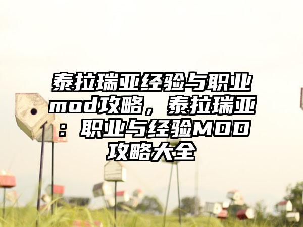 泰拉瑞亚经验与职业mod攻略，泰拉瑞亚：职业与经验MOD攻略大全