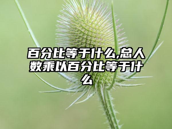 百分比等于什么,总人数乘以百分比等于什么