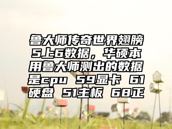 鲁大师传奇世界翅膀5上6数据，华硕本用鲁大师测出的数据是cpu 59显卡 61硬盘 51主板 68正