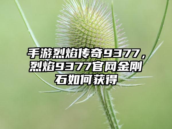 手游烈焰传奇9377，烈焰9377官网金刚石如何获得