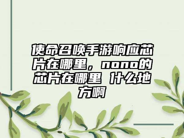 使命召唤手游响应芯片在哪里，nono的芯片在哪里 什么地方啊