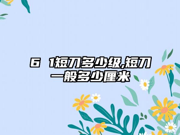 6 1短刀多少级,短刀一般多少厘米