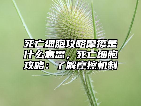 死亡细胞攻略摩擦是什么意思，死亡细胞攻略：了解摩擦机制