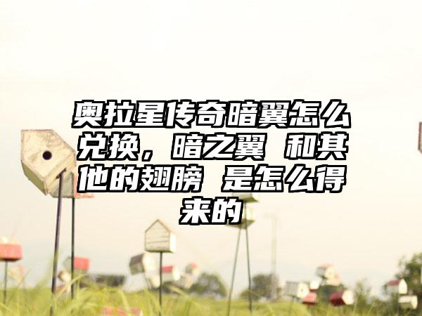 奥拉星传奇暗翼怎么兑换，暗之翼 和其他的翅膀 是怎么得来的
