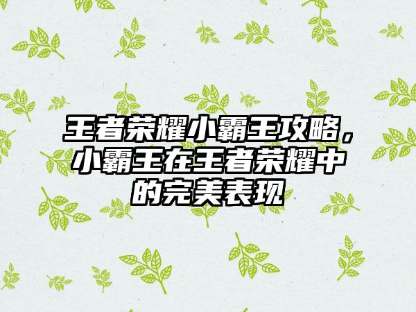 王者荣耀小霸王攻略，小霸王在王者荣耀中的完美表现