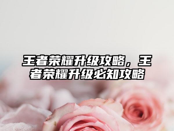 王者荣耀升级攻略，王者荣耀升级必知攻略