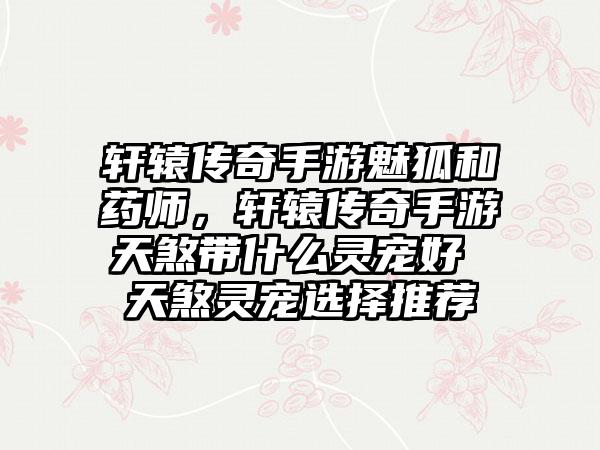 轩辕传奇手游魅狐和药师，轩辕传奇手游天煞带什么灵宠好 天煞灵宠选择推荐