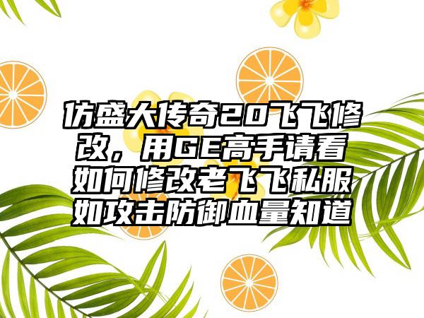 仿盛大传奇20飞飞修改，用GE高手请看如何修改老飞飞私服如攻击防御血量知道