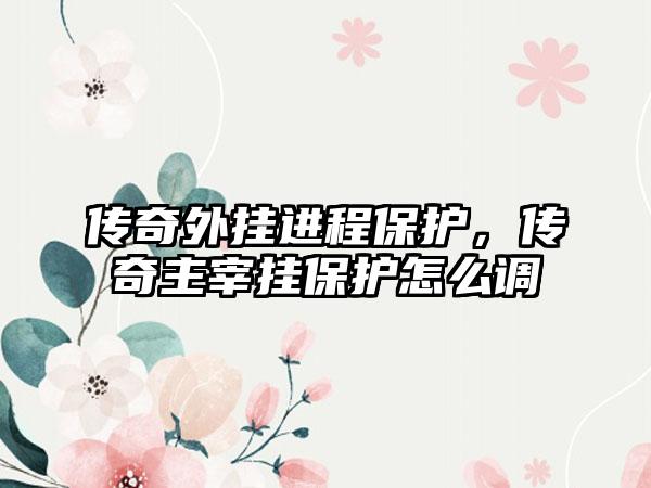 传奇外挂进程保护，传奇主宰挂保护怎么调
