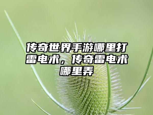 传奇世界手游哪里打雷电术，传奇雷电术哪里弄