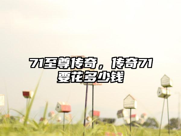 71至尊传奇，传奇71要花多少钱