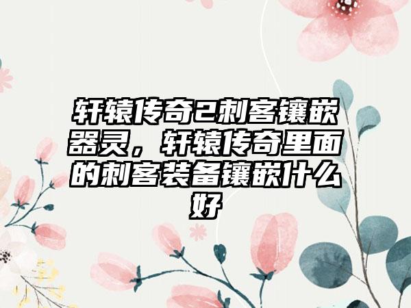 轩辕传奇2刺客镶嵌器灵，轩辕传奇里面的刺客装备镶嵌什么好