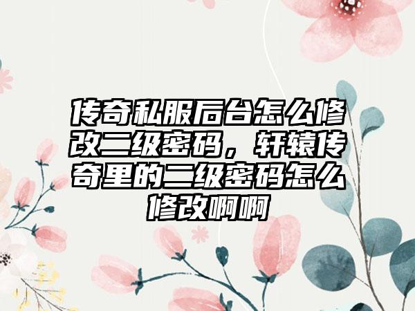 传奇私服后台怎么修改二级密码，轩辕传奇里的二级密码怎么修改啊啊