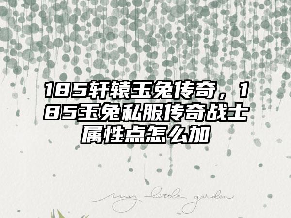 185轩辕玉兔传奇，185玉兔私服传奇战士属性点怎么加