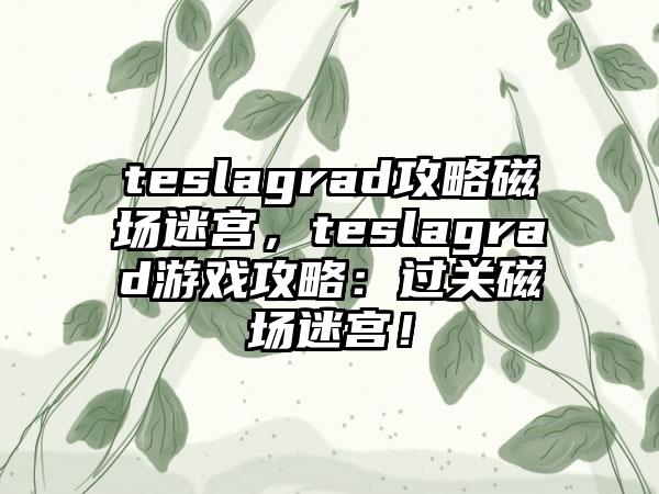 teslagrad攻略磁场迷宫，teslagrad游戏攻略：过关磁场迷宫！
