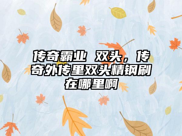 传奇霸业 双头，传奇外传里双头精钢刷在哪里啊