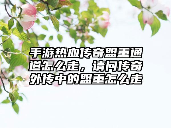 手游热血传奇盟重通道怎么走，请问传奇外传中的盟重怎么走