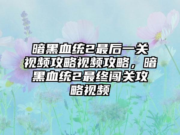 暗黑血统2最后一关视频攻略视频攻略，暗黑血统2最终闯关攻略视频