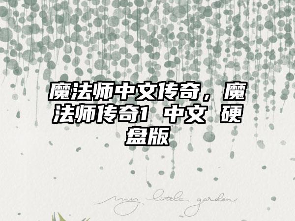 魔法师中文传奇，魔法师传奇1 中文 硬盘版