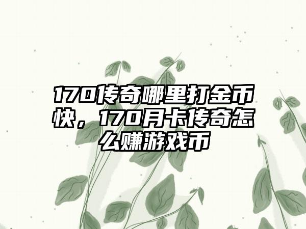 170传奇哪里打金币快，170月卡传奇怎么赚游戏币