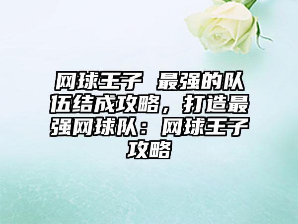网球王子 最强的队伍结成攻略，打造最强网球队：网球王子攻略