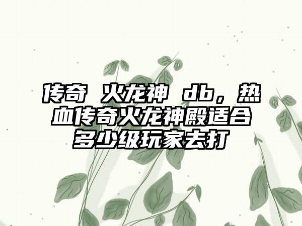 传奇 火龙神 db，热血传奇火龙神殿适合多少级玩家去打