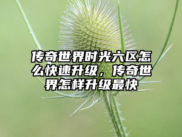 传奇世界时光六区怎么快速升级，传奇世界怎样升级最快