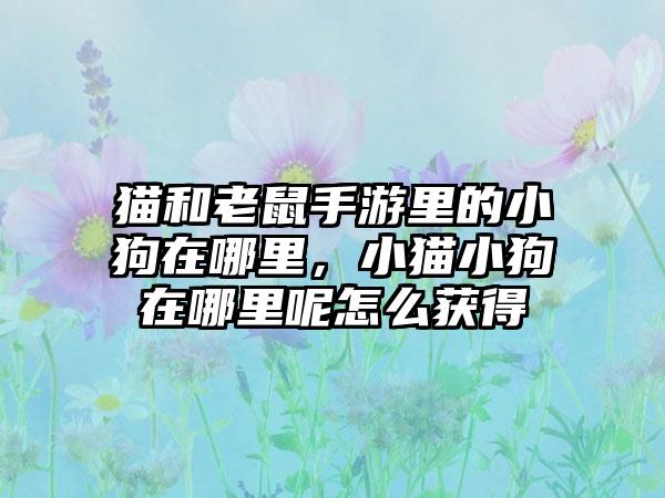 猫和老鼠手游里的小狗在哪里，小猫小狗在哪里呢怎么获得
