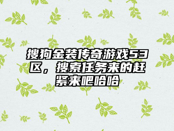 搜狗金装传奇游戏53区，搜索任务来的赶紧来吧哈哈