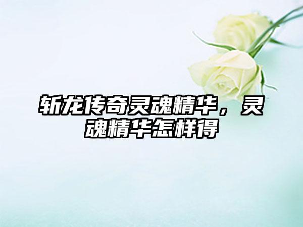 斩龙传奇灵魂精华，灵魂精华怎样得