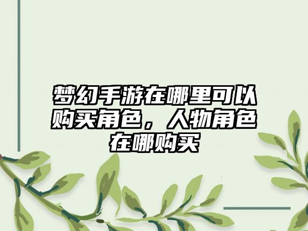 梦幻手游在哪里可以购买角色，人物角色在哪购买