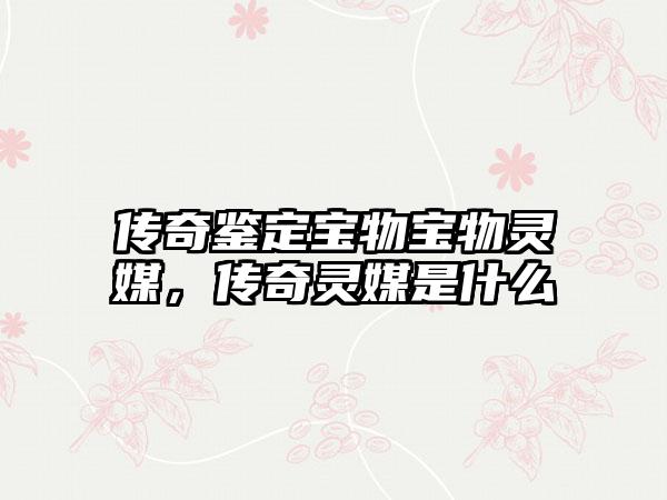 传奇鉴定宝物宝物灵媒，传奇灵媒是什么