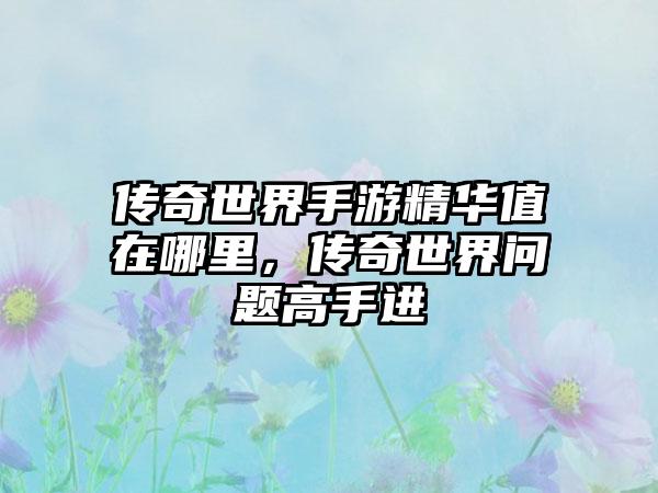 传奇世界手游精华值在哪里，传奇世界问题高手进