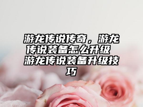游龙传说传奇,游龙传说装备怎么升级 游龙传说装备升级技巧