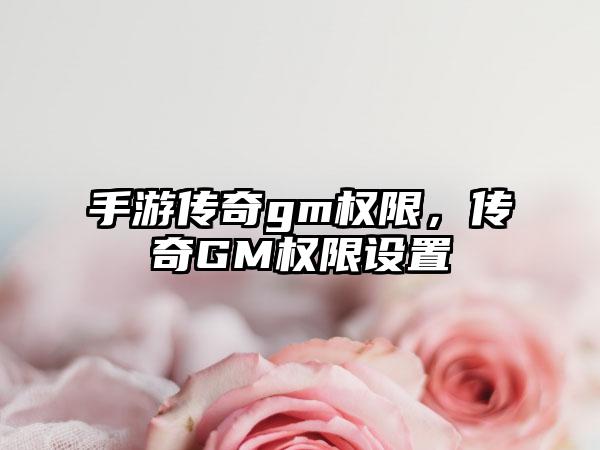 手游传奇gm权限，传奇GM权限设置