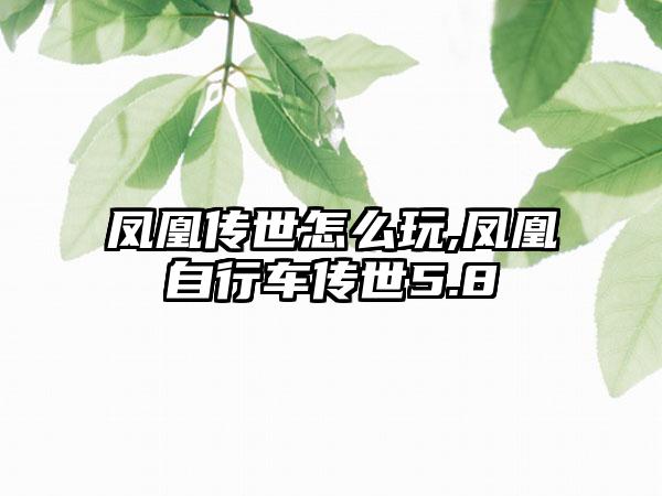 凤凰传世怎么玩,凤凰自行车传世5.8
