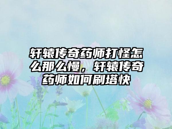 轩辕传奇药师打怪怎么那么慢，轩辕传奇药师如何刷塔快