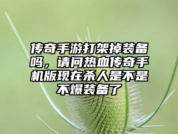 传奇手游打架掉装备吗，请问热血传奇手机版现在杀人是不是不爆装备了