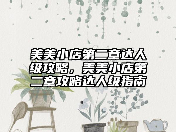 美美小店第二章达人级攻略，美美小店第二章攻略达人级指南