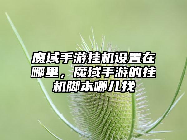 魔域手游挂机设置在哪里，魔域手游的挂机脚本哪儿找