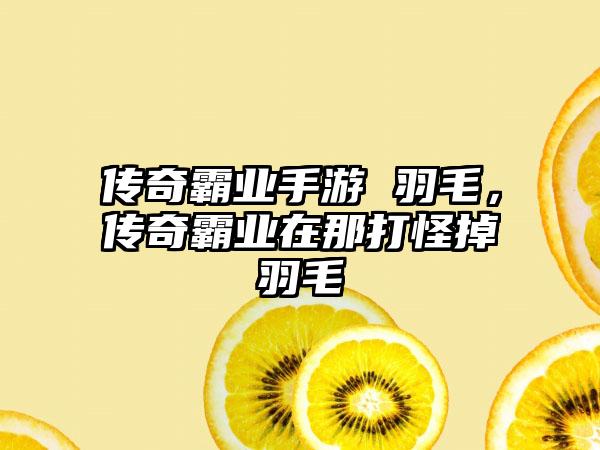 传奇霸业手游 羽毛，传奇霸业在那打怪掉羽毛